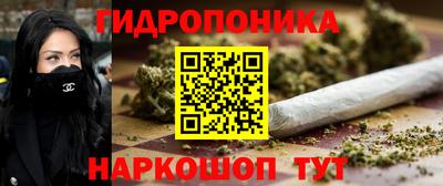 МДПВ Канаш