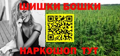 соль ск Камышлов